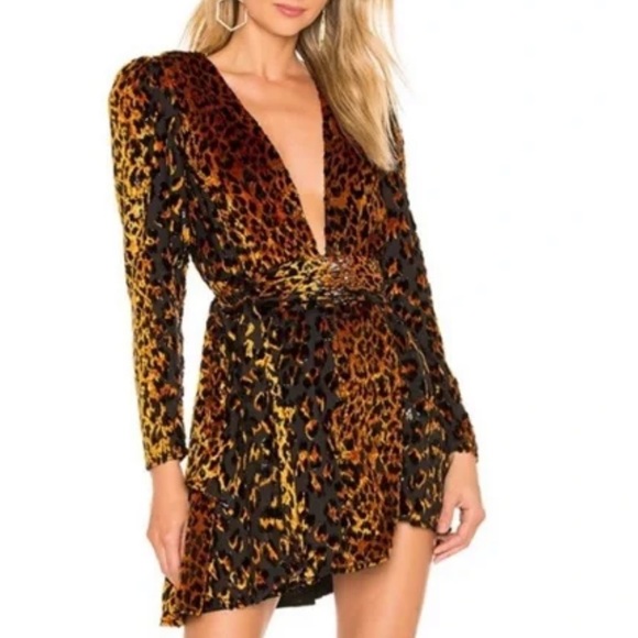 NBD Edie Long Sleeve Sparkly Velvet Mini Dress Natural Leopard Size X-Small - Picture 2 of 4